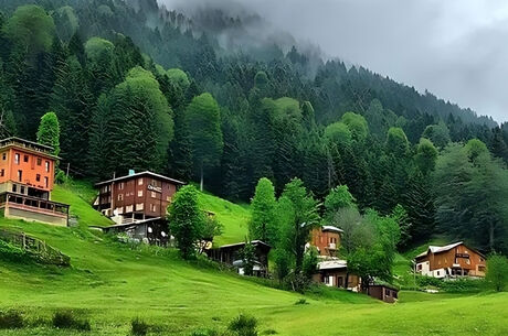 YAYLA KONAKLAMALI YEŞİL TUR