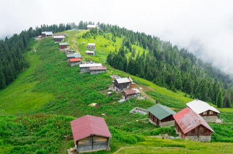 YAYLA KONAKLAMALI YEŞİL TUR